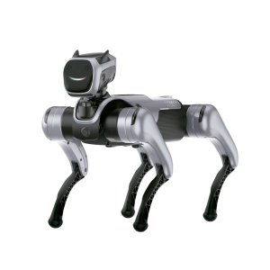 P1 Quadruped Basic