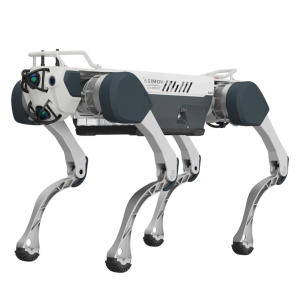 X30 Quadruped Basic
