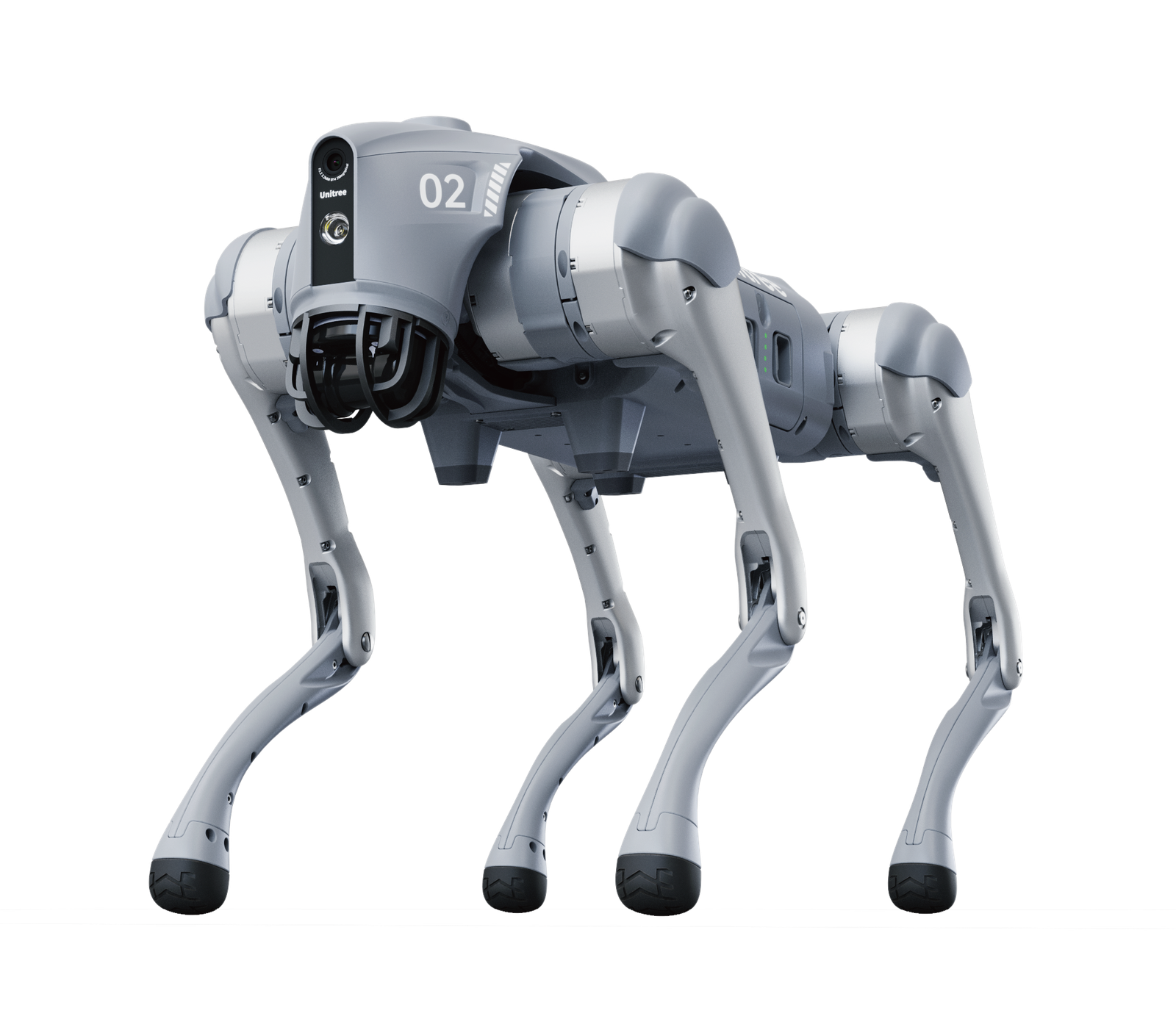 Go 2 Quadruped